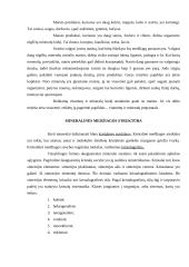Mineralai ir mineralinės medžiagos 2 puslapis