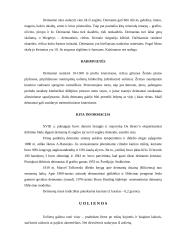 Mineralai ir mineralinės medžiagos 11 puslapis