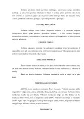 Mineralai ir mineralinės medžiagos 12 puslapis