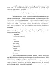 Mineralai ir mineralinės medžiagos 13 puslapis