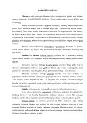 Mineralai ir mineralinės medžiagos 14 puslapis