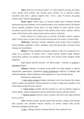 Mineralai ir mineralinės medžiagos 6 puslapis