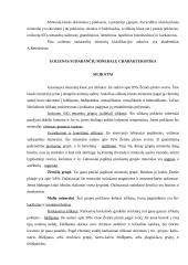 Mineralai ir mineralinės medžiagos 8 puslapis