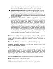 Mirties sociologija: mirties kultūra ir jos kaita Vakarų visuomenėse 3 puslapis