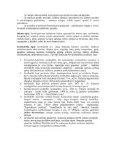 Mirties sociologija: mirties kultūra ir jos kaita Vakarų visuomenėse 4 puslapis