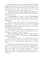 Mokėjimo srautų analizė 2 puslapis