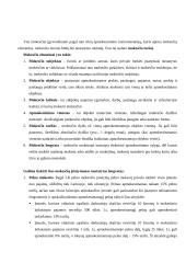 Mokesčiai ir jų sistema - pasiruošimas mokesčių egzaminui 2 puslapis