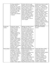 Minkštakūnių klasių palyginimo lentelė 2 puslapis