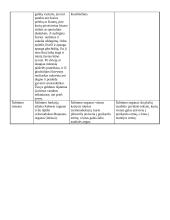Minkštakūnių klasių palyginimo lentelė 4 puslapis