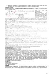 Valiutų valdybos modelis Lietuvoje 4 puslapis