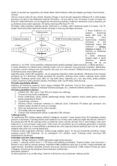 Valiutų valdybos modelis Lietuvoje 5 puslapis