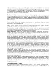 Moralės ir etikos normos 4 puslapis