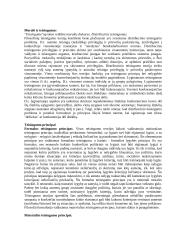 Moralės ir etikos normos 7 puslapis