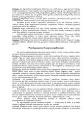 Naminių gyvulių vidaus ligos 14 puslapis