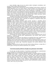 Naminių gyvulių vidaus ligos 18 puslapis