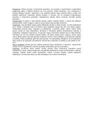 Naminių gyvulių vidaus ligos 19 puslapis