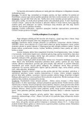 Naminių gyvulių vidaus ligos 4 puslapis