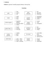 Nariuotakojų tipas 14 puslapis