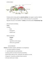 Nariuotakojų tipas 16 puslapis