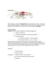 Nariuotakojų tipas 6 puslapis