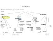 Nariuotakojų tipas 8 puslapis
