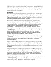 Našumo didinimas 19 puslapis