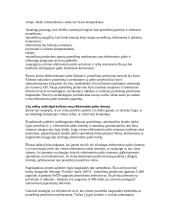 Našumo didinimas 4 puslapis