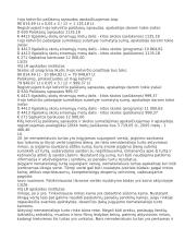 Nematerialusis turtas 11 puslapis