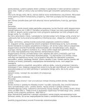 Nematerialusis turtas 12 puslapis