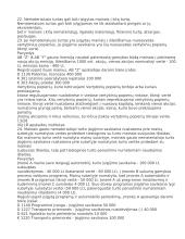 Nematerialusis turtas 13 puslapis