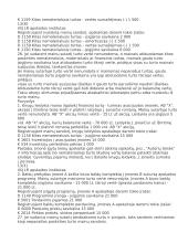 Nematerialusis turtas 15 puslapis