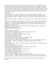 Nematerialusis turtas 16 puslapis