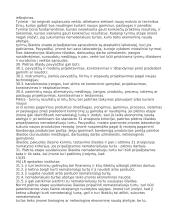 Nematerialusis turtas 18 puslapis