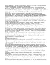 Nematerialusis turtas 19 puslapis