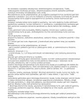 Nematerialusis turtas 3 puslapis