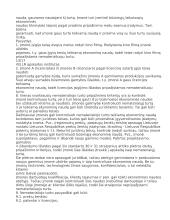 Nematerialusis turtas 4 puslapis