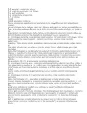 Nematerialusis turtas 5 puslapis