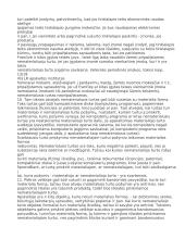 Nematerialusis turtas 6 puslapis