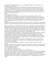 Nematerialusis turtas 7 puslapis