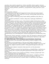 Nematerialusis turtas 8 puslapis