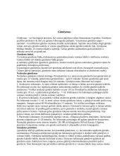 Nėštumo ir gimdymo eiga 16 puslapis