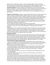 Nėštumo ir gimdymo eiga 17 puslapis