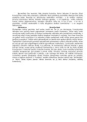 Netarifiniai užsienio prekybos reguliavimo metodai, jų taikymas, priemonės 5 puslapis