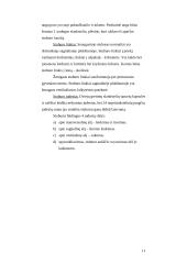 Nugaros ir galvos smegenys 11 puslapis