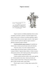 Nugaros ir galvos smegenys 12 puslapis