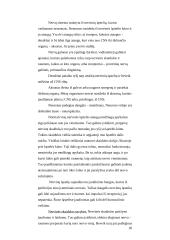 Nugaros ir galvos smegenys 20 puslapis