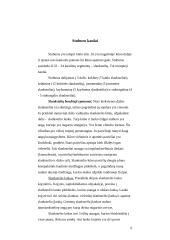 Nugaros ir galvos smegenys 6 puslapis