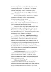 Nugaros ir galvos smegenys 7 puslapis