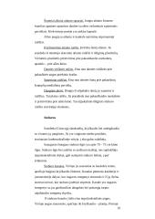 Nugaros ir galvos smegenys 10 puslapis