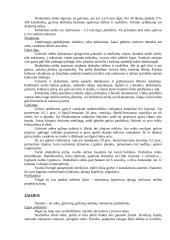 Odos ligos 19 puslapis
